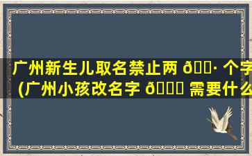 广州新生儿取名禁止两 🌷 个字(广州小孩改名字 🐛 需要什么手续)